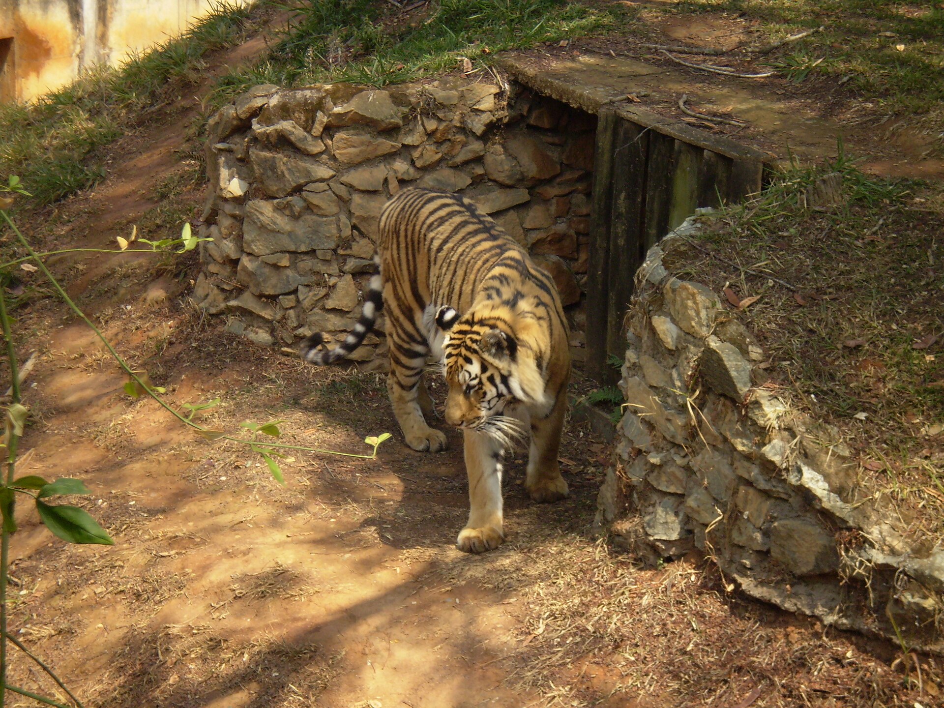 Zoological Garden of Belo Horizonte - Image 1