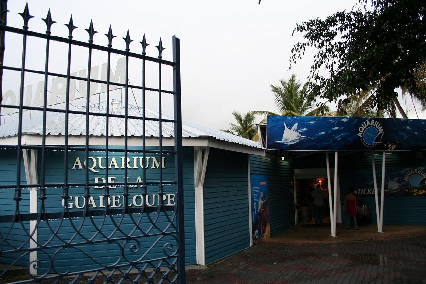 Aquarium de Guadeloupe - Image 1