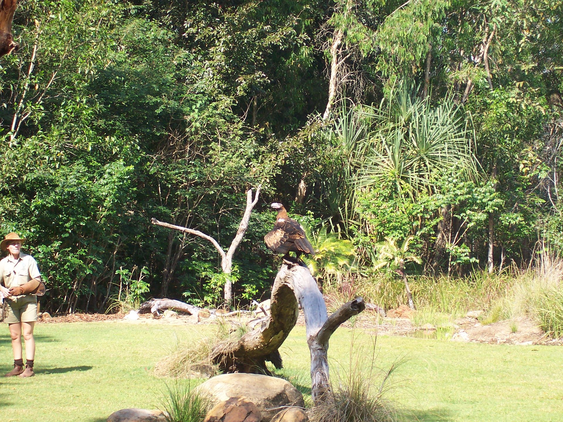 Territory Wildlife Park - Image 1