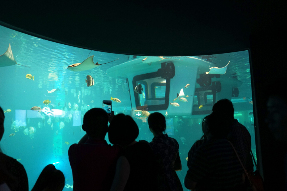 Cube Oceanarium - Image 1