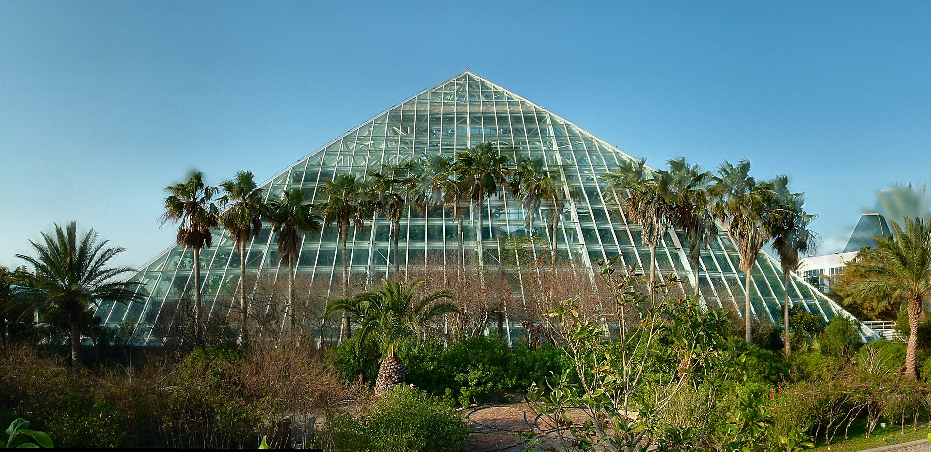 Moody Gardens - Image 1