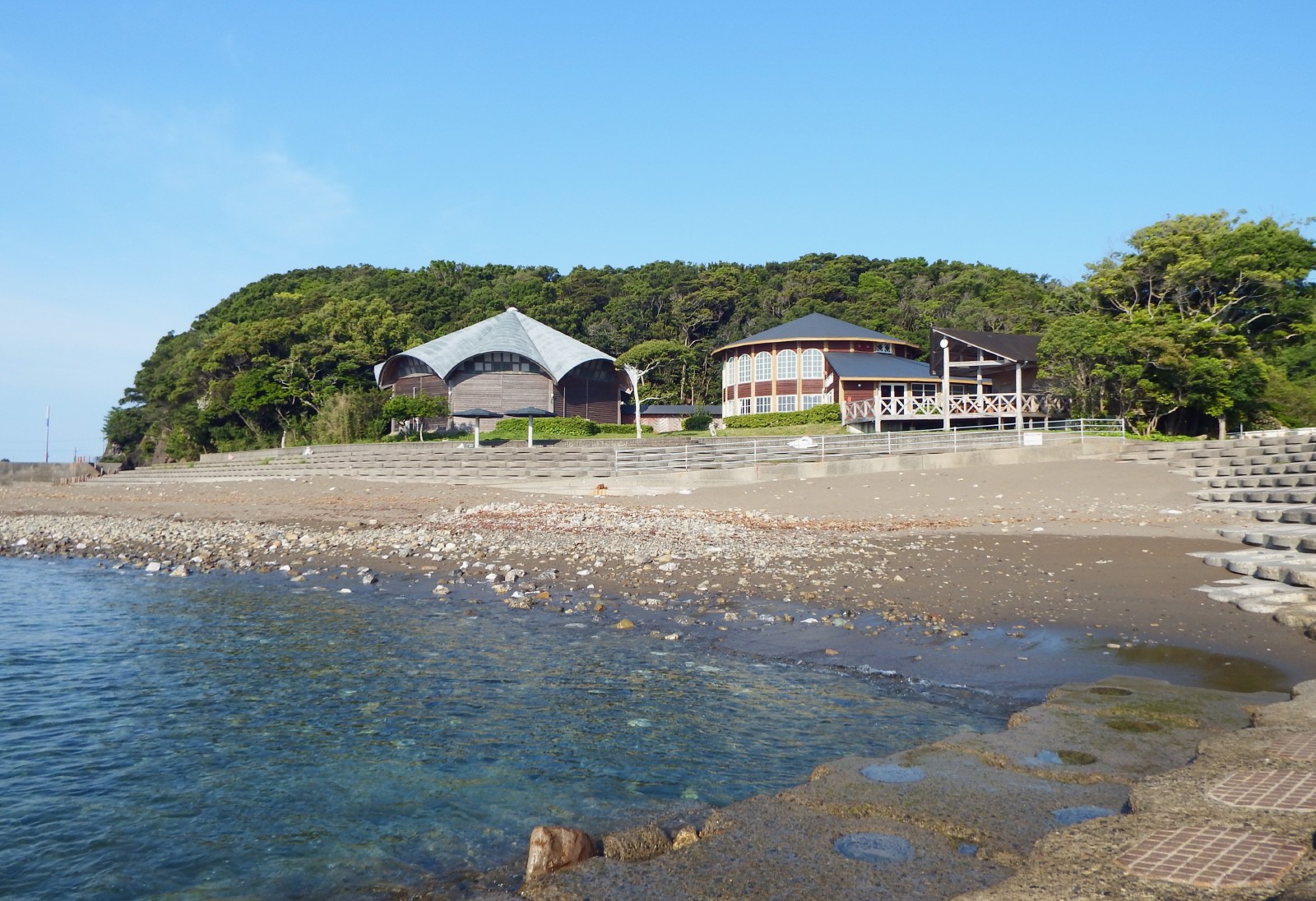 Mollusco Mugi - Image 1