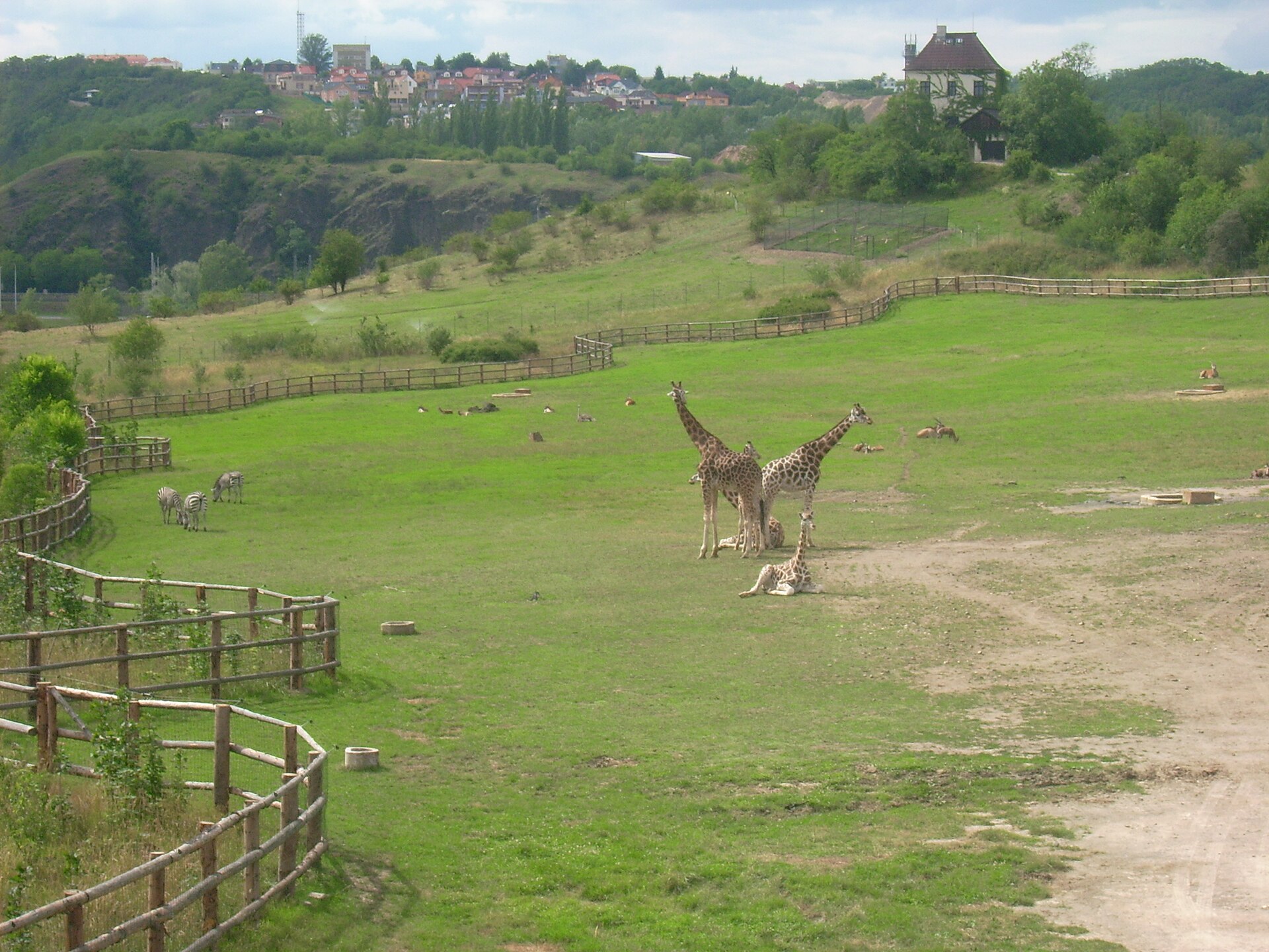Prague Zoo - Image 1