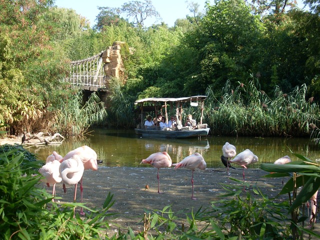 Hanover Zoo - Image 1