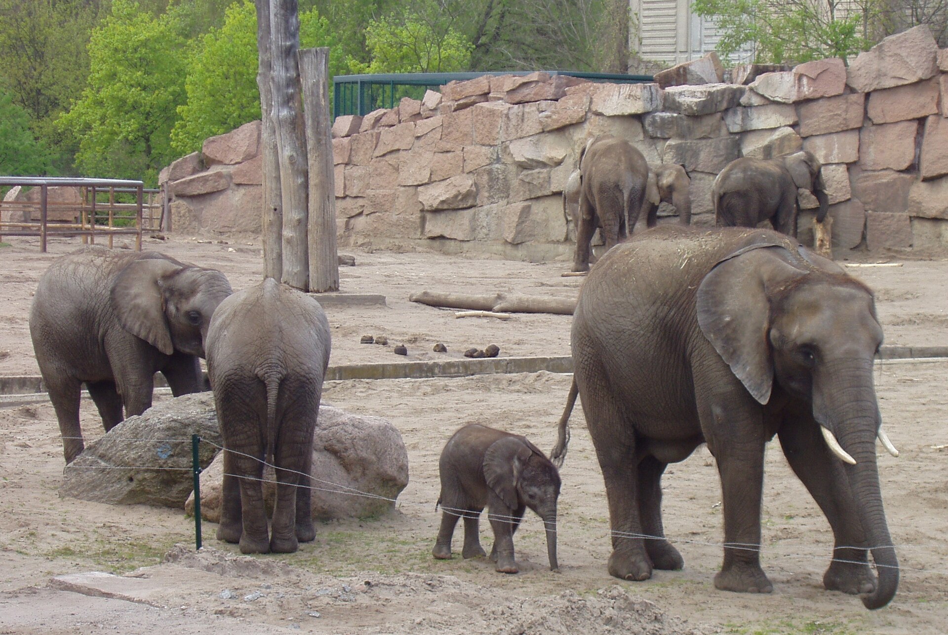 Tierpark Berlin - Image 1