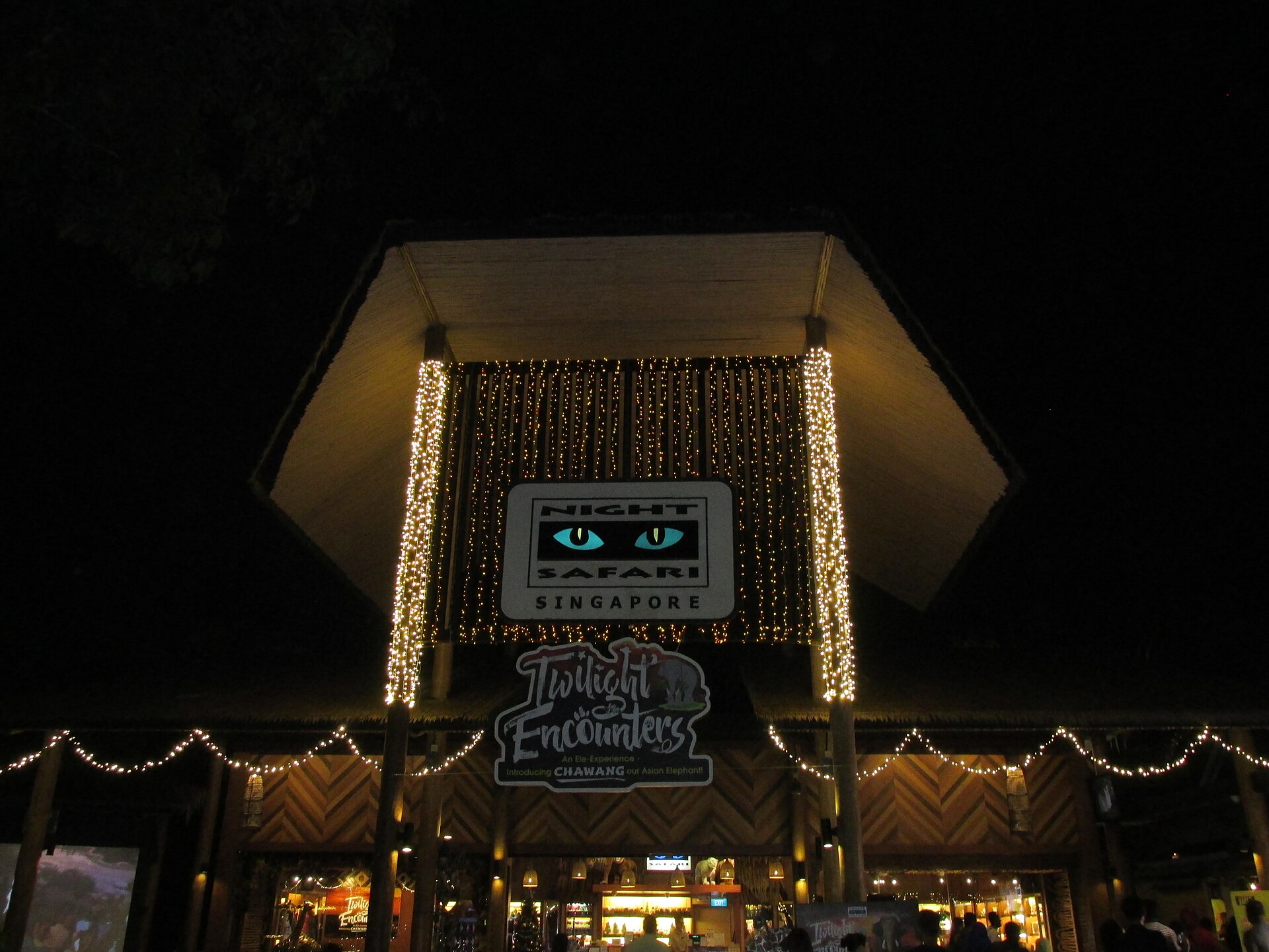 Night Safari - Image 1