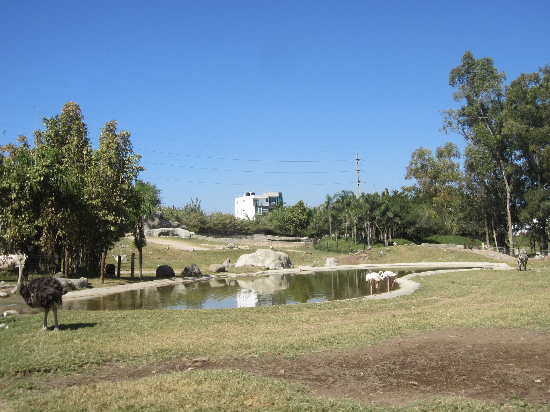 Guadalajara Zoo - Image 1