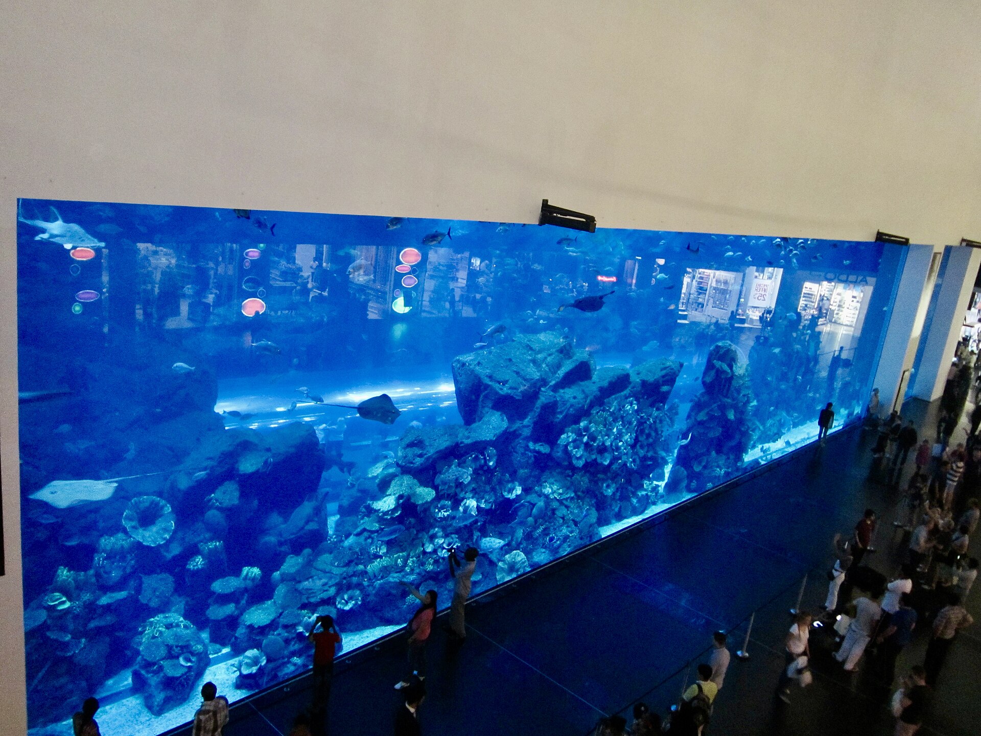 Dubai Aquarium and Underwater Zoo - Image 1