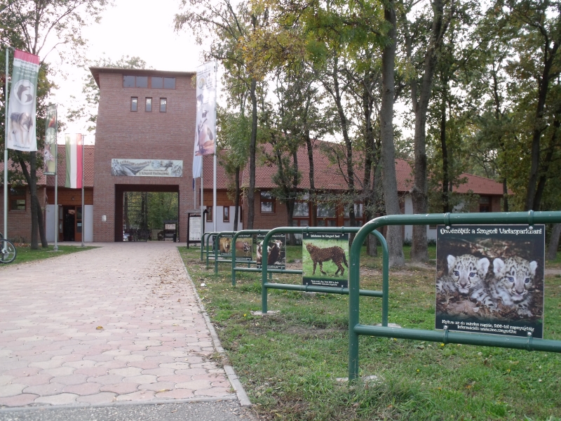 Szeged Zoo - Image 1