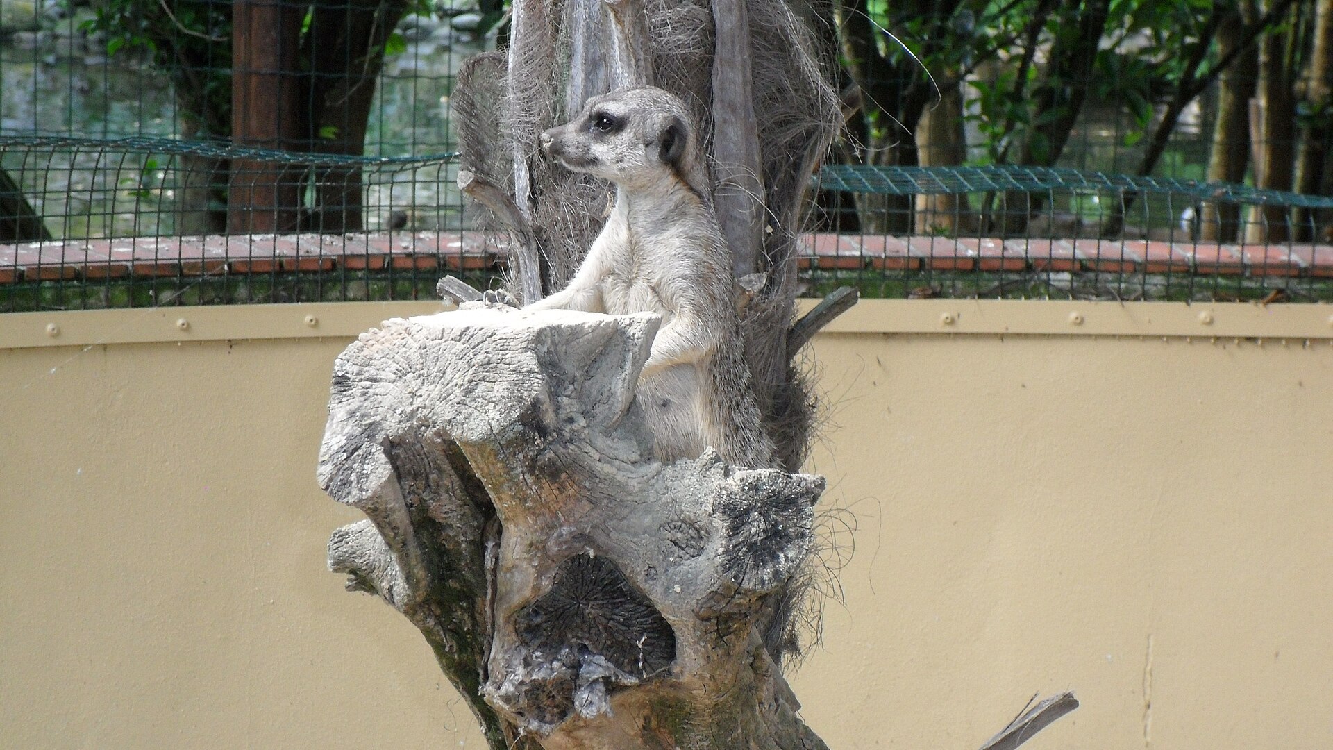 Faunistic Park Cappeller - Image 1