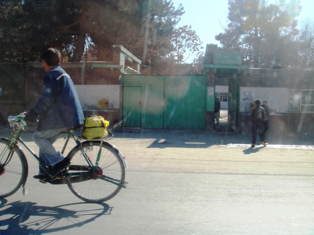 Kabul Zoo - Image 1