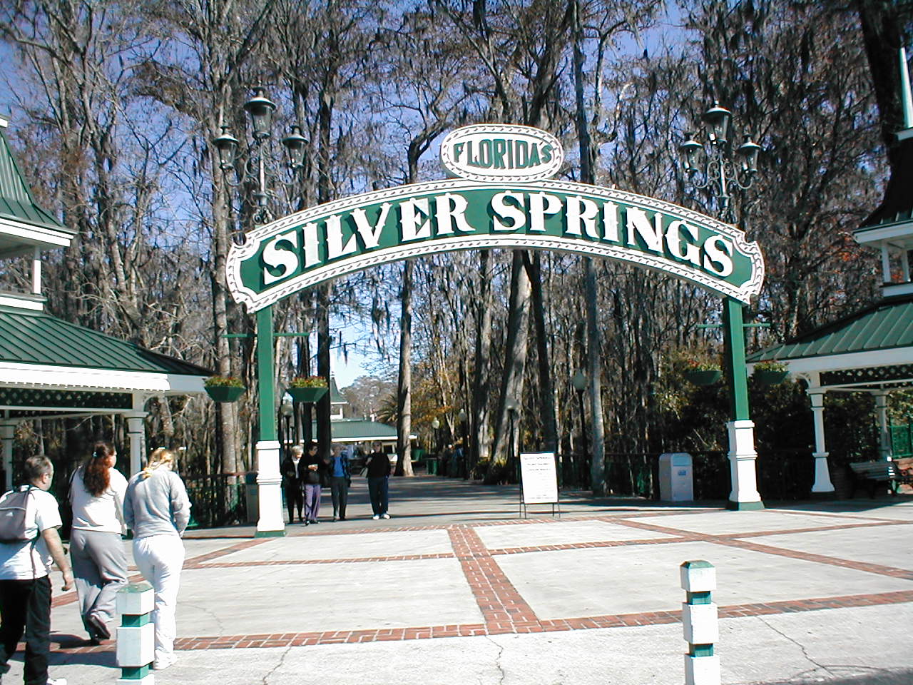 Silver Springs - Image 1