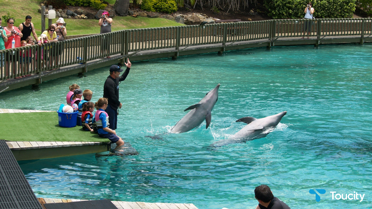 Mactan Island Aquarium - Image 2