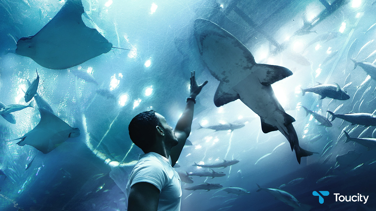 Mactan Island Aquarium - Image 1