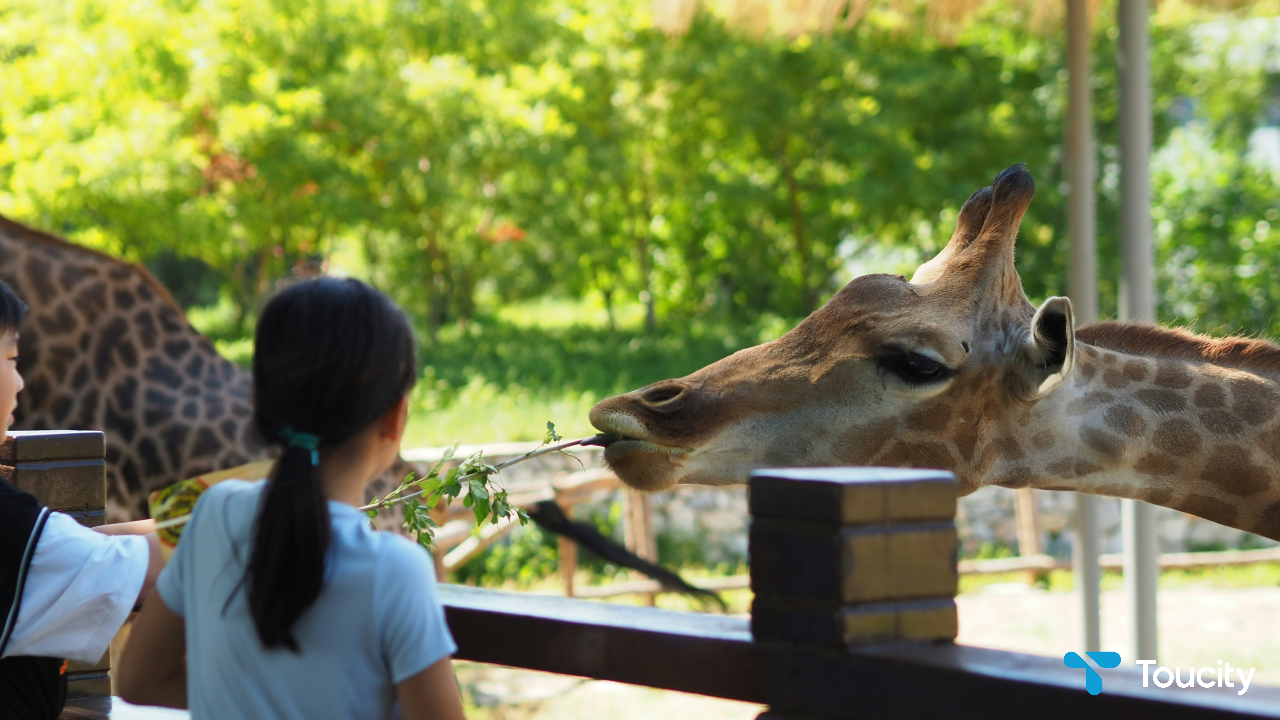 Mini-Zoo - Image 1