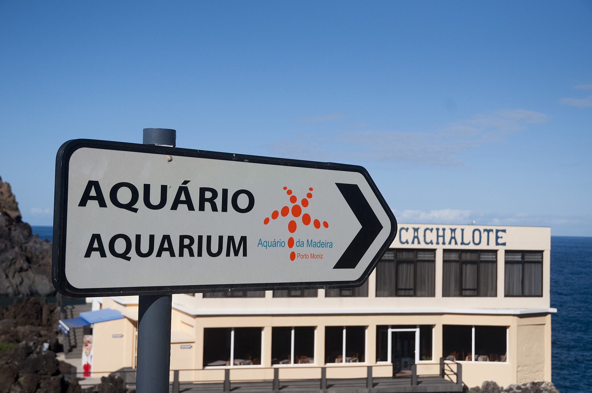 Aquário da Madeira - Image 1