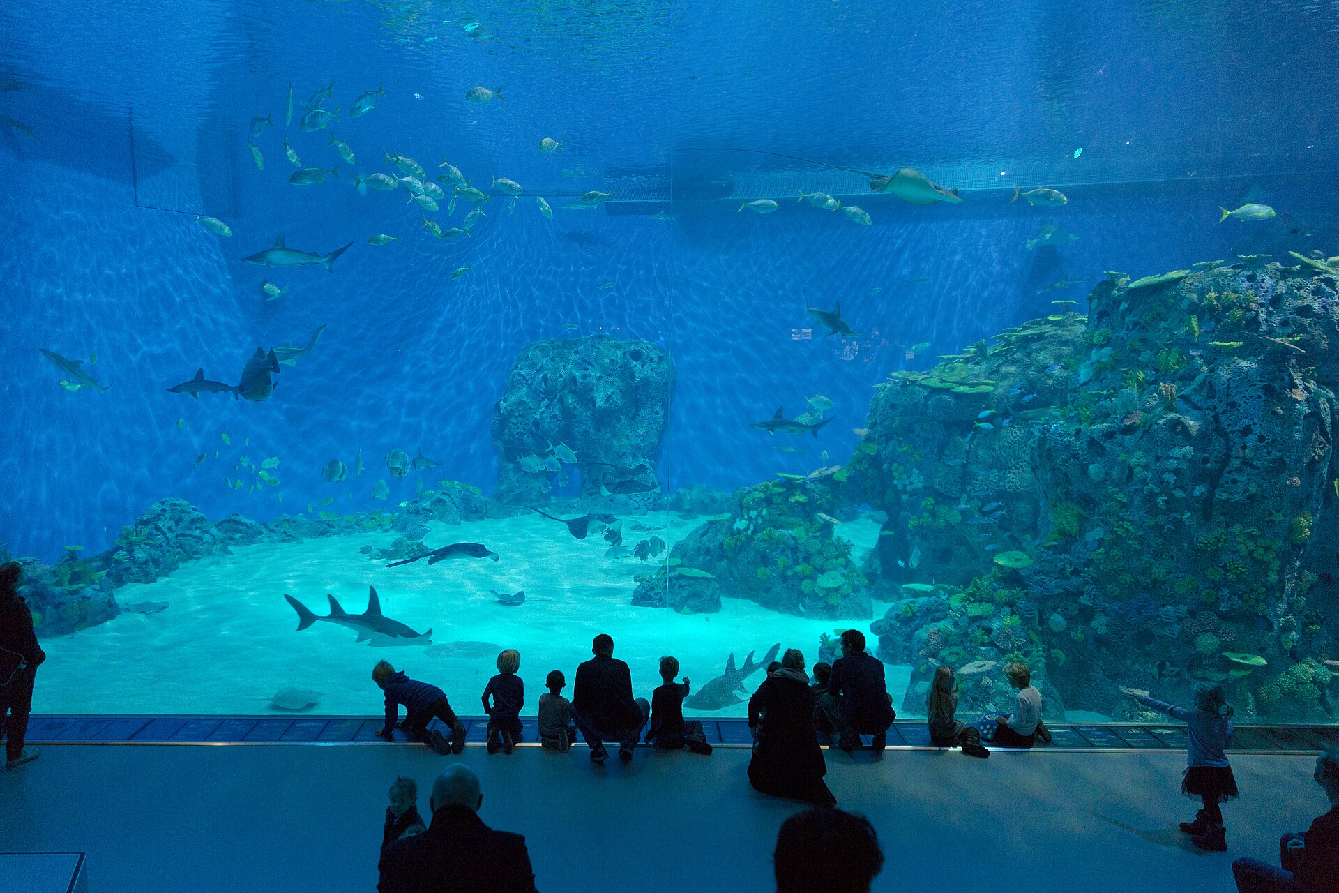 The Blue Planet - Image 1