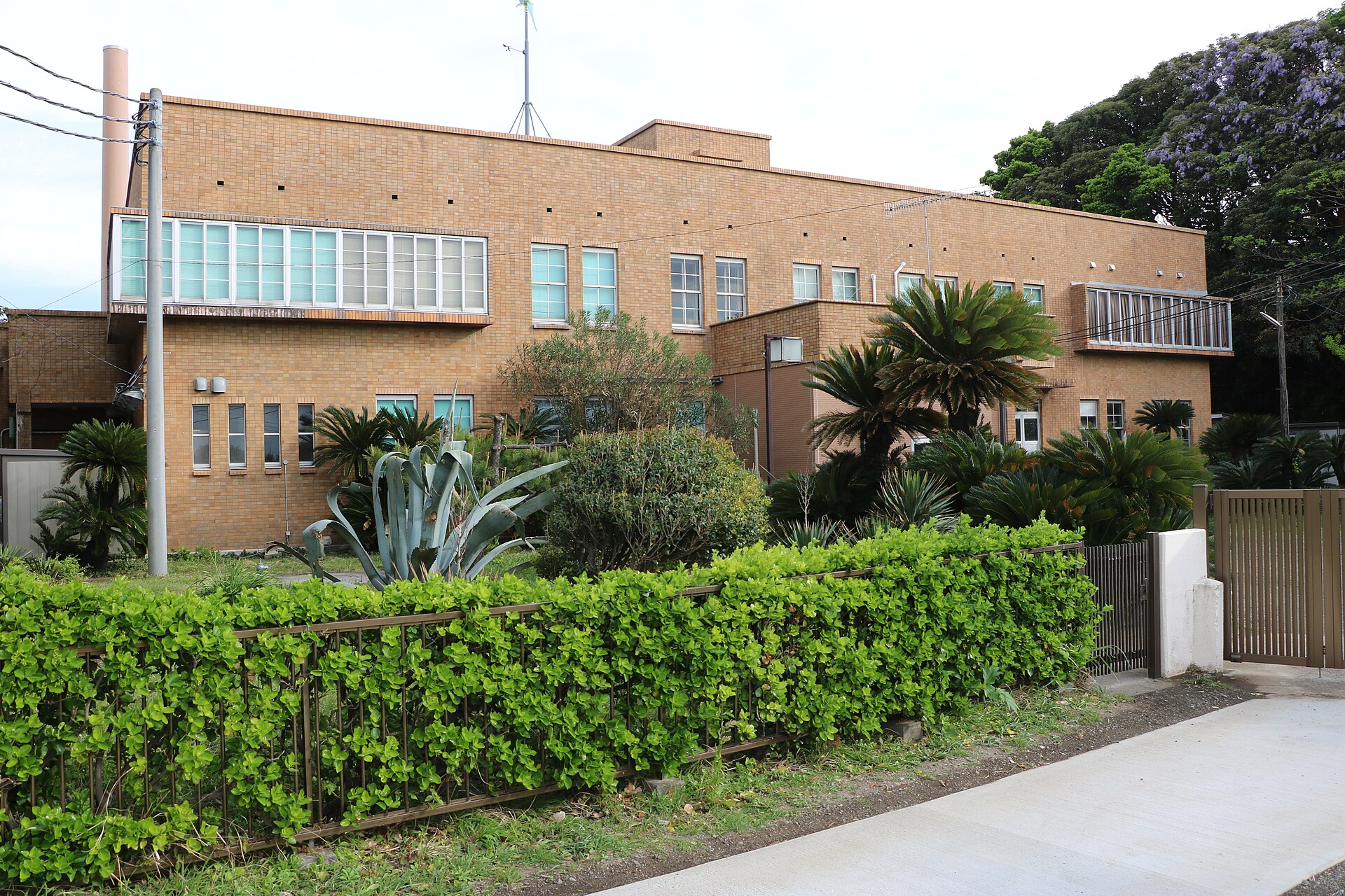 Misaki Marine Biological Station, the University of Tokyo - Image 1