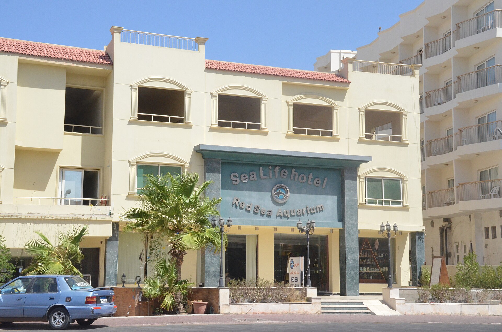 Red Sea Aquarium - Image 1