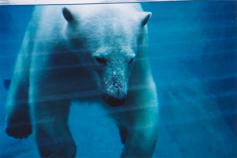 Aquarium du Québec - Image 1